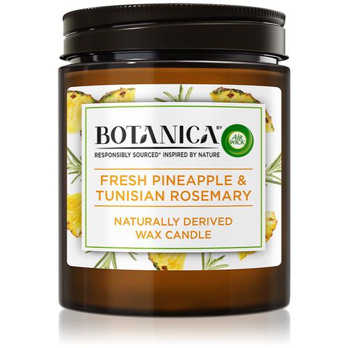 Botanica Fresh Pineapple & Tunisian Rosemary vela perfumada 205 g - Air Wick - Modalova