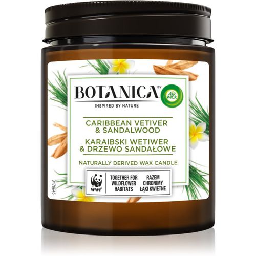 Botanica Caribbean Vetiver & Sandalwood candela profumata 205 g - Air Wick - Modalova