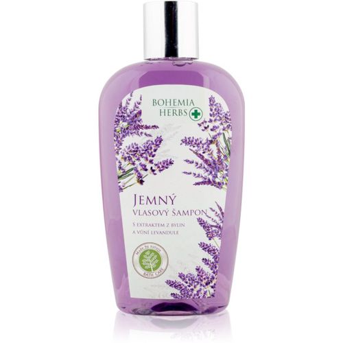 Bohemia Herbs Lavender Haarshampoo 250 ml - Bohemia Gifts & Cosmetics - Modalova