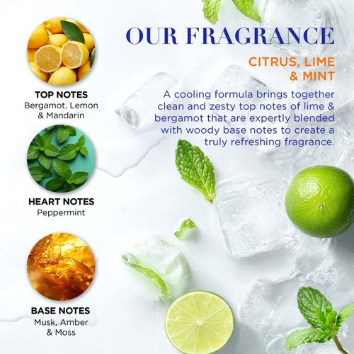 Men's Citrus Lime & Mint lote de regalo para hombre - Baylis & Harding - Modalova