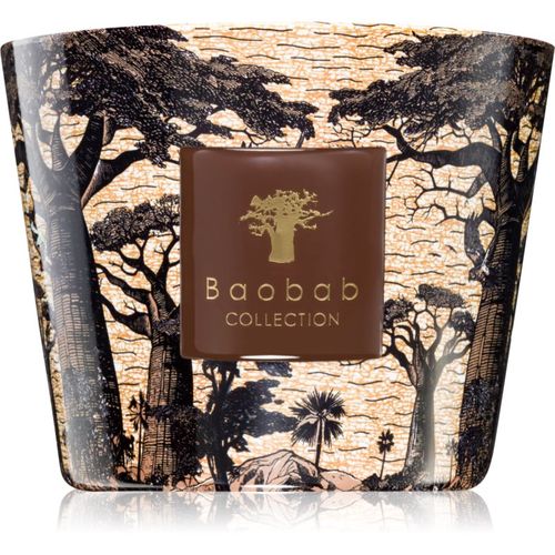 Sacred Trees Mankono vela perfumada 500 g - Baobab Collection - Modalova