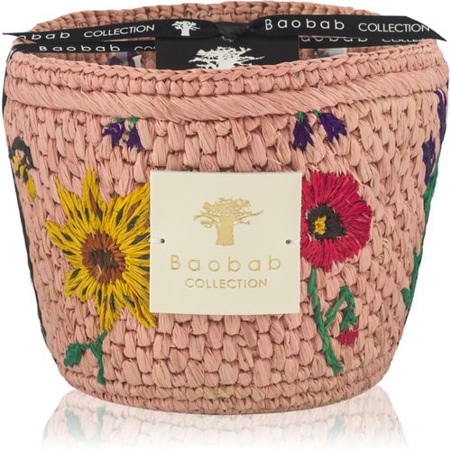 Vony Kopelika vela perfumada 500 g - Baobab Collection - Modalova