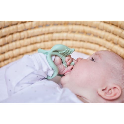 Teether pulsera mordedor Green 3m+ 1 ud - B.Box - Modalova