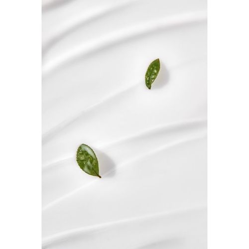 Deep Green Tea leche hidratante con té verde 120 ml - Benton - Modalova