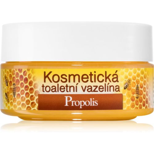 Honey + Q10 vaselina cosmética 155 ml - Bione Cosmetics - Modalova