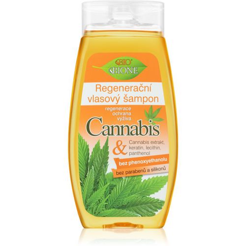 Cannabis champú regenerador 260 ml - Bione Cosmetics - Modalova