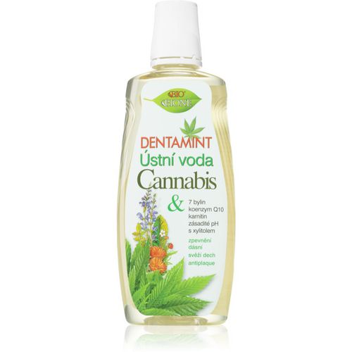 Dentamint Cannabis enjuague bucal 500 ml - Bione Cosmetics - Modalova