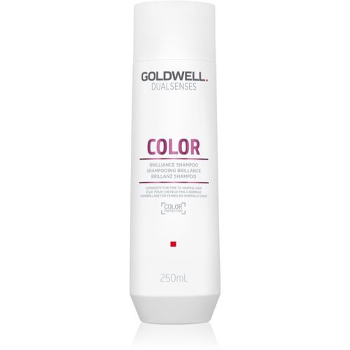Dualsenses Color Shampoo zum Schutz gefärbter Haare 250 ml - Goldwell - Modalova