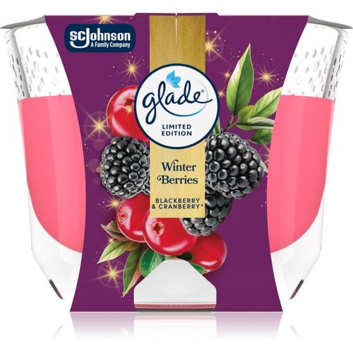 Winter Berries vela perfumada 204 g - Glade - Modalova