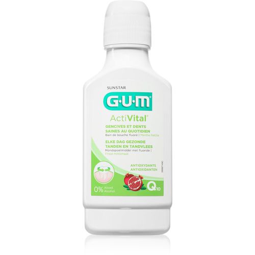 Activital Mouthwash enjuague bucal 300 ml - G.U.M - Modalova