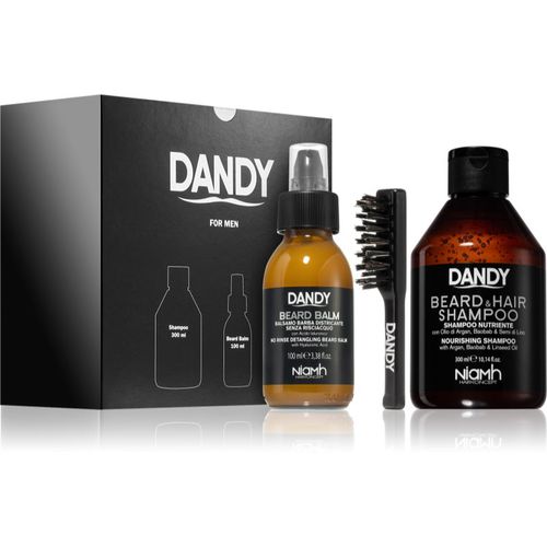 Beard gift box Geschenkset (für den Bart) - DANDY - Modalova