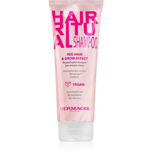 Hair Ritual aufhellendes Shampoo für rote Farbnuancen des Haares 250 ml - Dermacol - Modalova