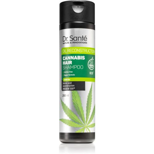 Cannabis champú regenerador con aceite de cáñamo 250 ml - Dr. Santé - Modalova