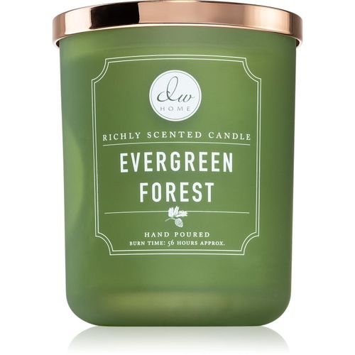 Signature Evergreen Forest vela perfumada 445 g - DW Home - Modalova