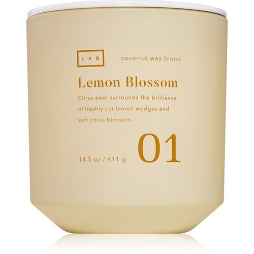 Lab Lemon Blossom vela perfumada 411 g - DW Home - Modalova