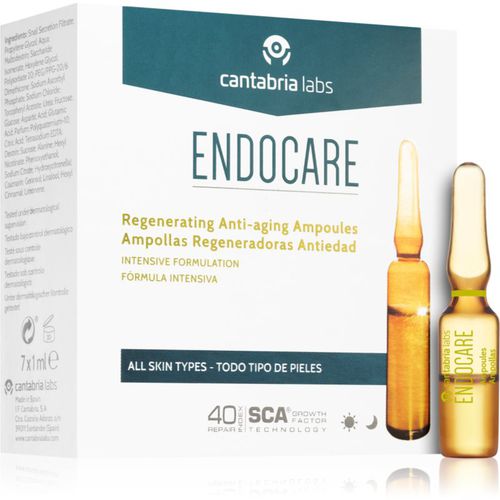 Tensage ampolla antienvejecimiento 7x1 ml - Endocare - Modalova