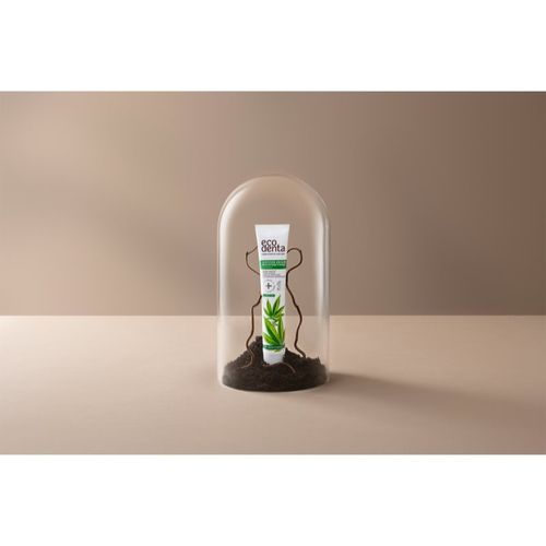 Certified Organic Multifunctional with Hemp pasta de dientes natural 75 ml - Ecodenta - Modalova