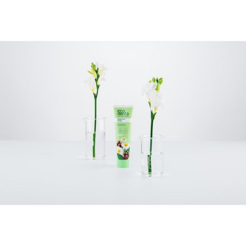 Green Sensitivity Relief pasta de dientes para dientes sensibles con fluoruro sabor Chamomile/Clove 100 ml - Ecodenta - Modalova