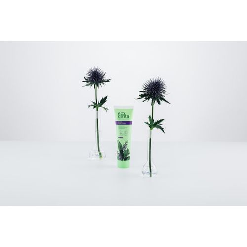 Green Multifunctional pasta de dientes con flúor para una protección completa para dientes 100 ml - Ecodenta - Modalova