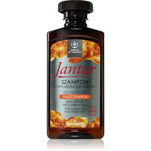 Jantar champú para cabello quebradizo y dañado 330 ml - Farmona - Modalova