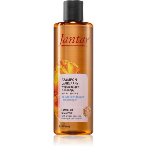 Jantar Amber Essence champú para el cabello largo 300 ml - Farmona - Modalova