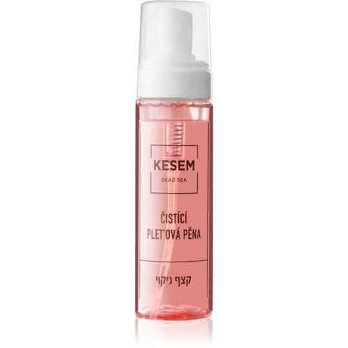 Dead Sea espuma facial limpiadora 210 ml - KESEM - Modalova