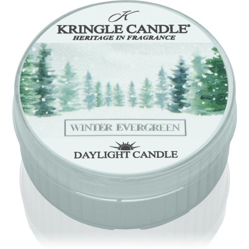 Winter Evergreen candela scaldavivande 42 g - Kringle Candle - Modalova