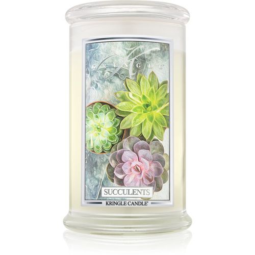 Succulents Duftkerze 624 g - Kringle Candle - Modalova