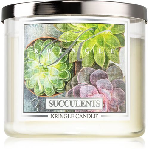 Succulents Duftkerze 397 g - Kringle Candle - Modalova