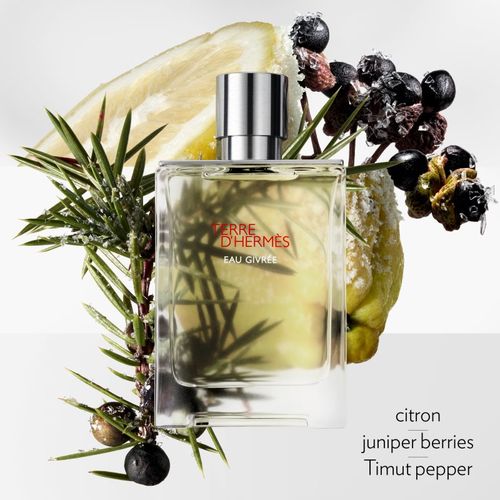 Terre d’Hermès Eau Givrée Eau de Parfum recargable para hombre 175 ml - HERMÈS - Modalova