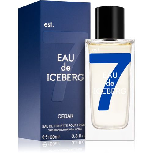 Eau de Cedar Eau de Toilette para hombre 100 ml - Iceberg - Modalova