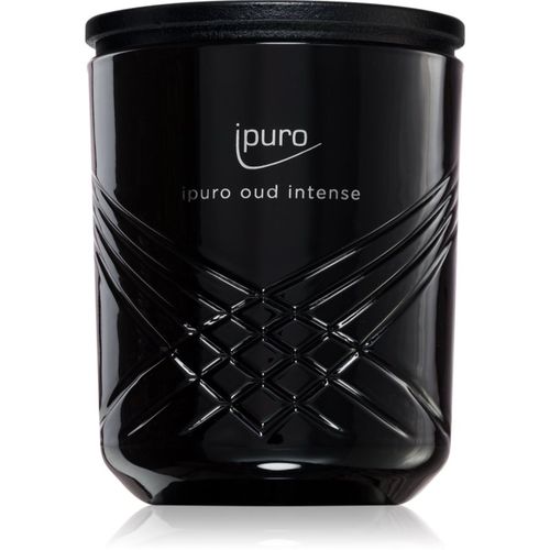 Exclusive Oud Intense vela perfumada 270 g - ípuro - Modalova