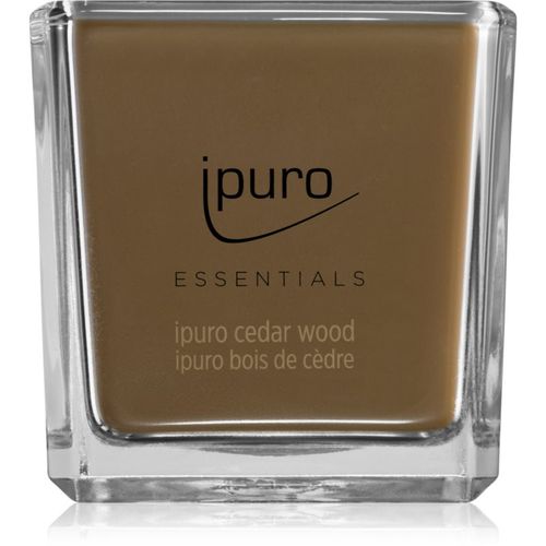 Essentials Cedar Wood vela perfumada 125 g - ípuro - Modalova