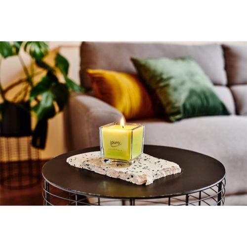 Essentials Lime Light vela perfumada 125 g - ipuro - Modalova