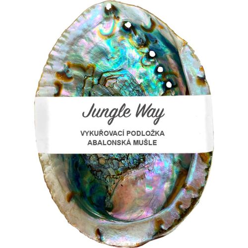 Abalone Shell portaincienso 1 ud - Jungle Way - Modalova