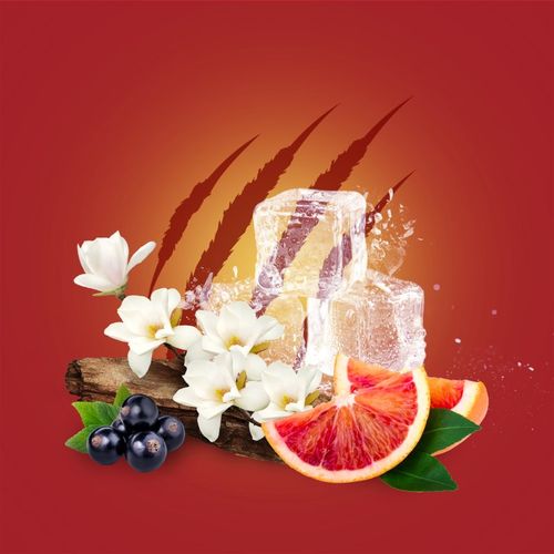 Tigerclaw desodorante en barra 50 ml - Old Spice - Modalova
