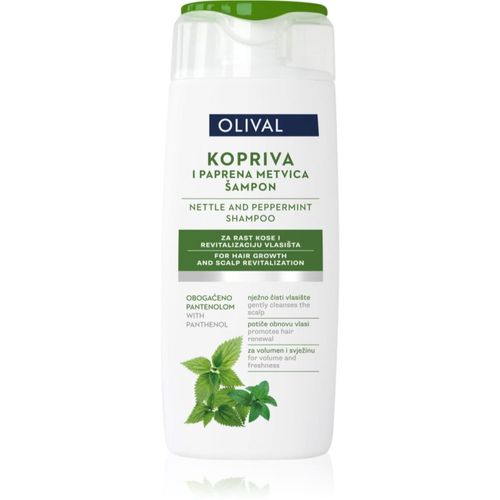 Treatment Nettle and Peppermint champú de hierbas con menta piperita 250 ml - Olival - Modalova