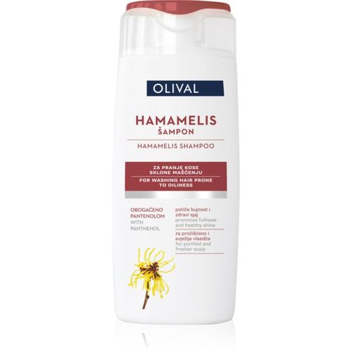 Hamamelis champú para cuero cabelludo graso 250 ml - Olival - Modalova