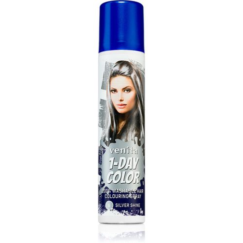 Day Color spray colorato per capelli colore No. 6 - Silver Shine 50 ml - Venita - Modalova