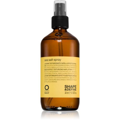 Styling & Finish spray salado con textura de playa 240 ml - Oway - Modalova