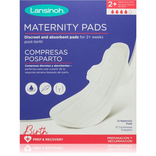 Maternity Pads 2 weeks+ compresas posparto 12 ud - Lansinoh - Modalova