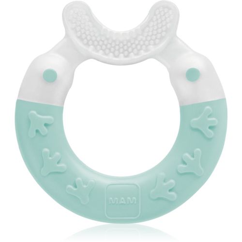 Bite & Brush dentaruolo 3m+ Turquoise 1 pz - MAM - Modalova