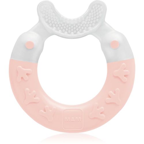 Bite & Brush dentaruolo 3m+ Pink 1 pz - MAM - Modalova