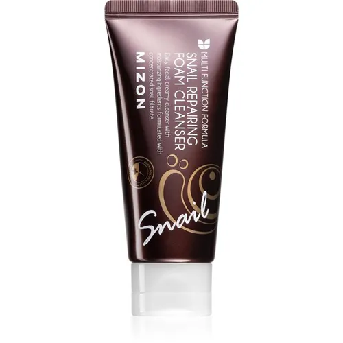 Multi Function Formula Snail espuma limpiadora 60 ml - Mizon - Modalova