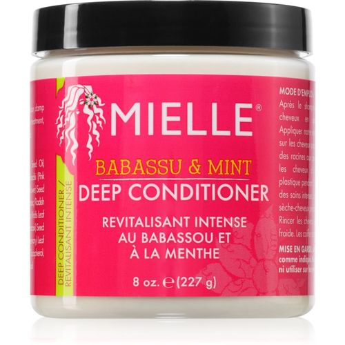 Babassu & Mint acondicionador de nutrición profunda 227 g - Mielle - Modalova