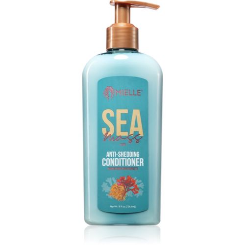 Sea Moss acondicionador para el cabello frágil con tendencia a la caída 235 ml - Mielle - Modalova