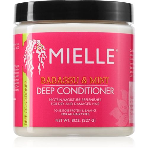 Babassu & Mint acondicionador hidratante 227 g - Mielle - Modalova