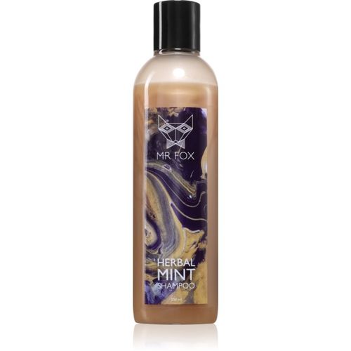 Herbal Mint Shampoo champú de hierbas para hombre 250 ml - MR FOX - Modalova