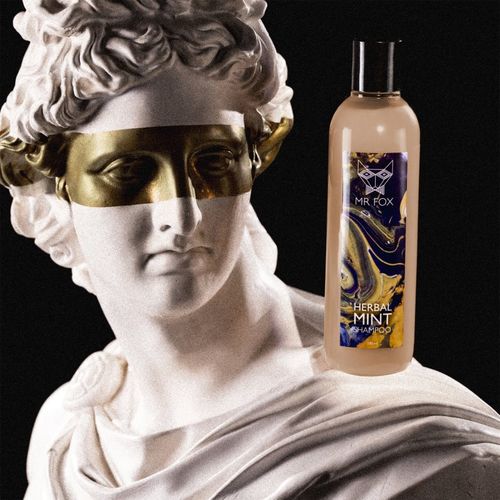 Herbal Mint Shampoo champú de hierbas para hombre 250 ml - MR FOX - Modalova