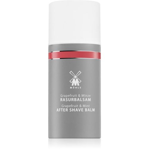 Aftershave Balm bálsamo after shave para hombre 100 ml - Mühle - Modalova